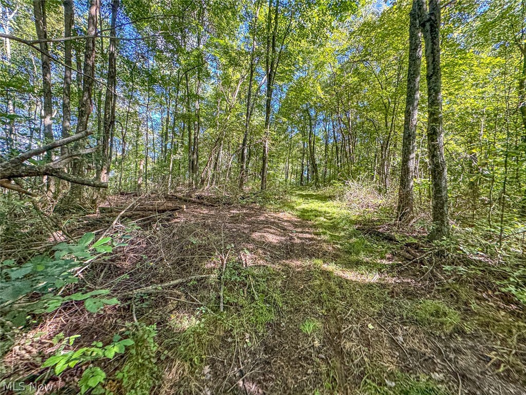 0 SE Kleski Road Uhrichsville OH 44683