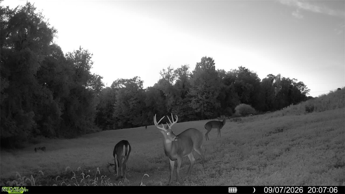 163 County Road 3 Rayland OH 43943