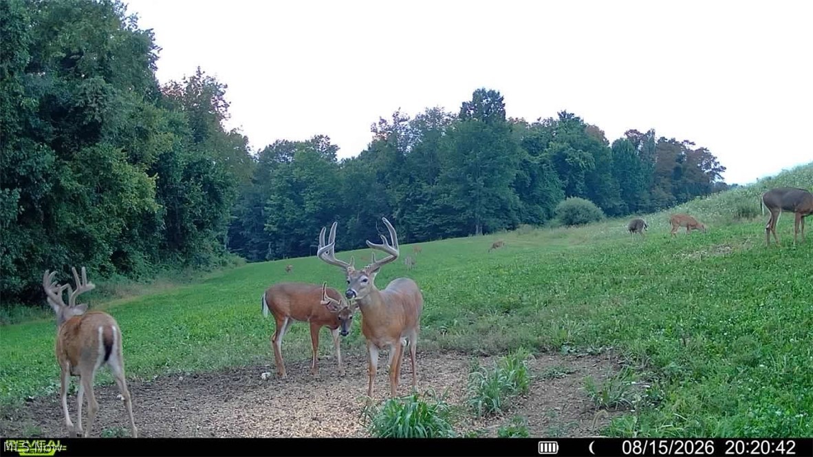 163 County Road 3 Rayland OH 43943