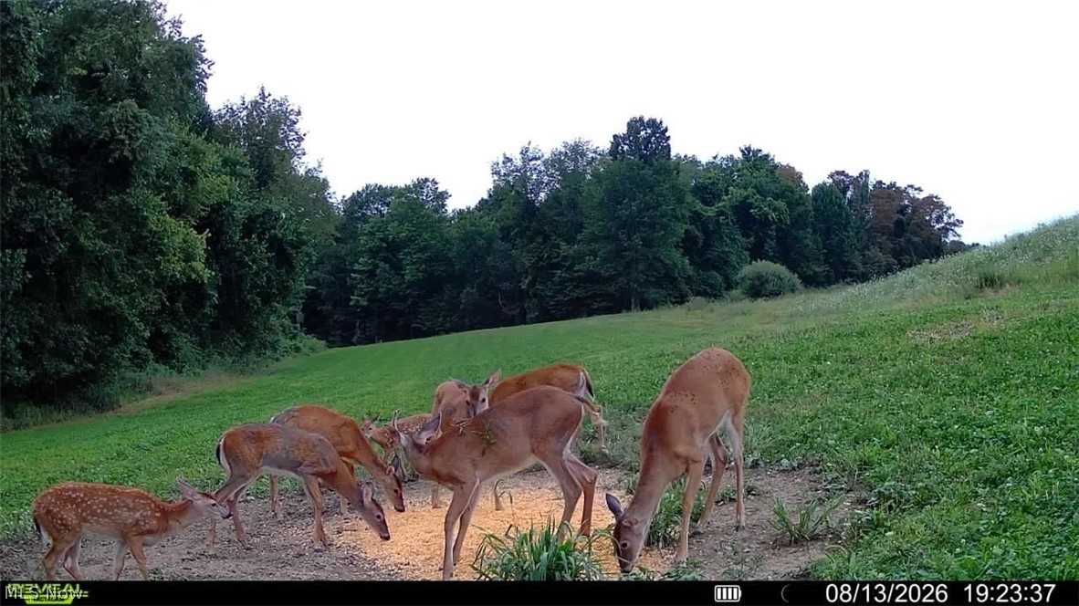163 County Road 3 Rayland OH 43943
