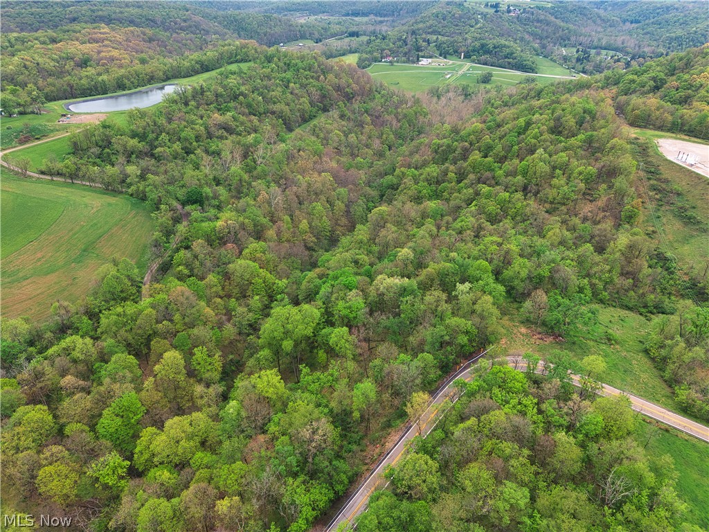 0 Bealls Ridge Road Wellsburg WV 26070