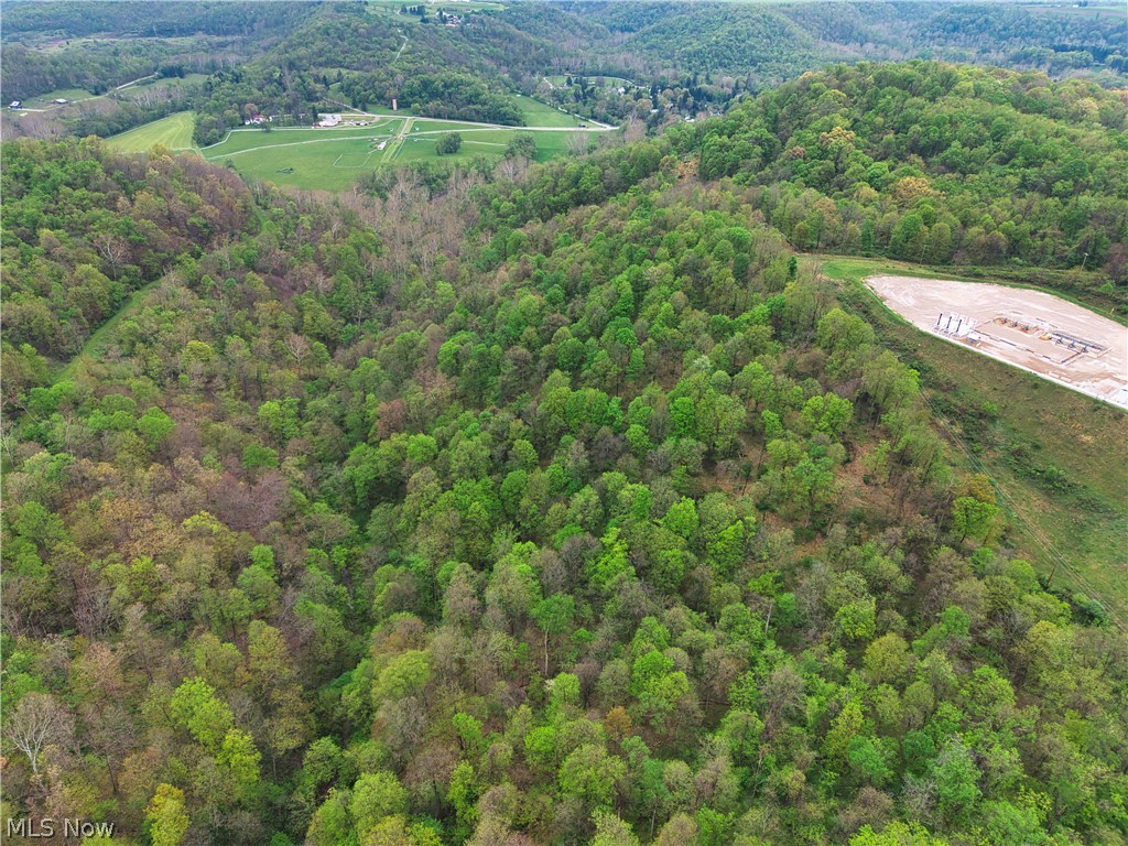 0 Bealls Ridge Road Wellsburg WV 26070