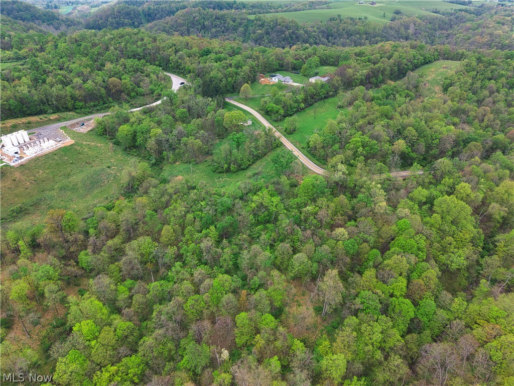 0 Bealls Ridge Road Wellsburg WV 26070