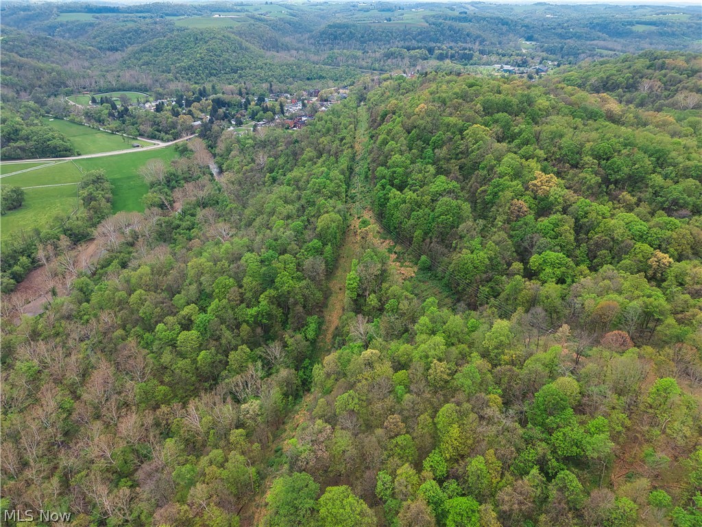 0 Bealls Ridge Road Wellsburg WV 26070