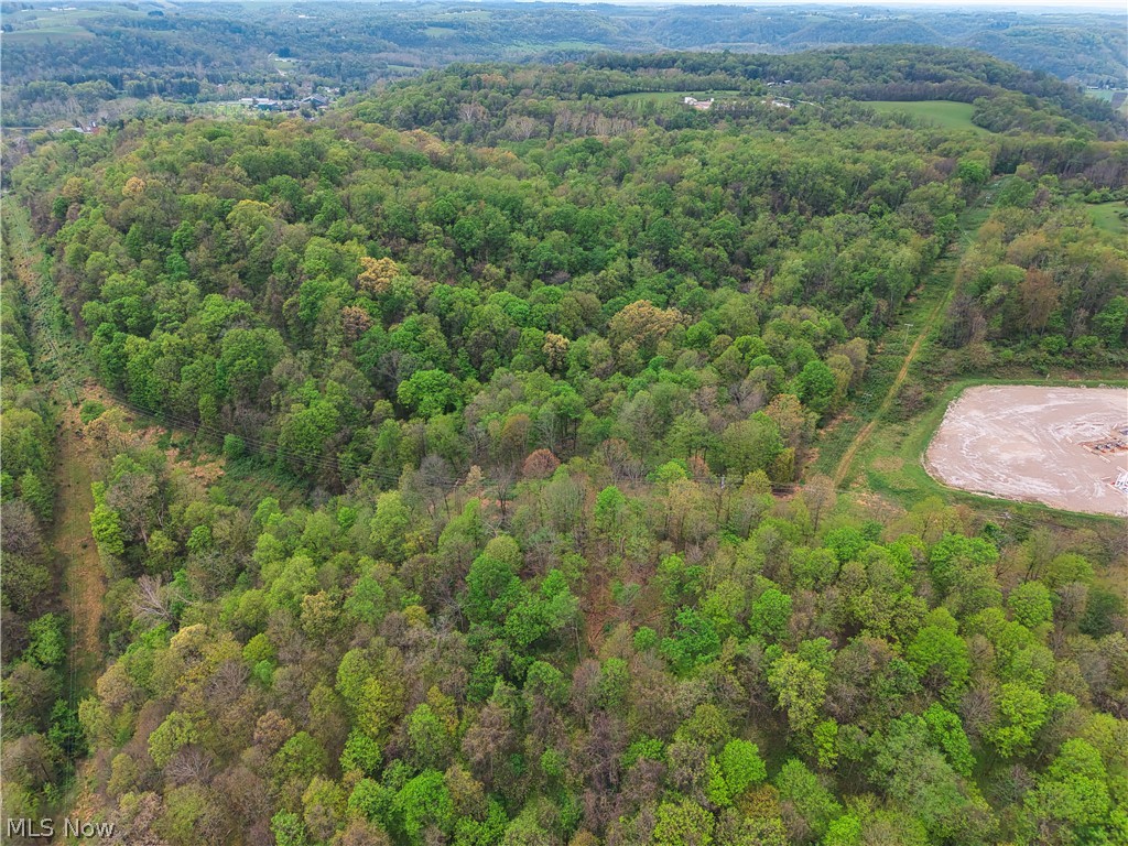0 Bealls Ridge Road Wellsburg WV 26070