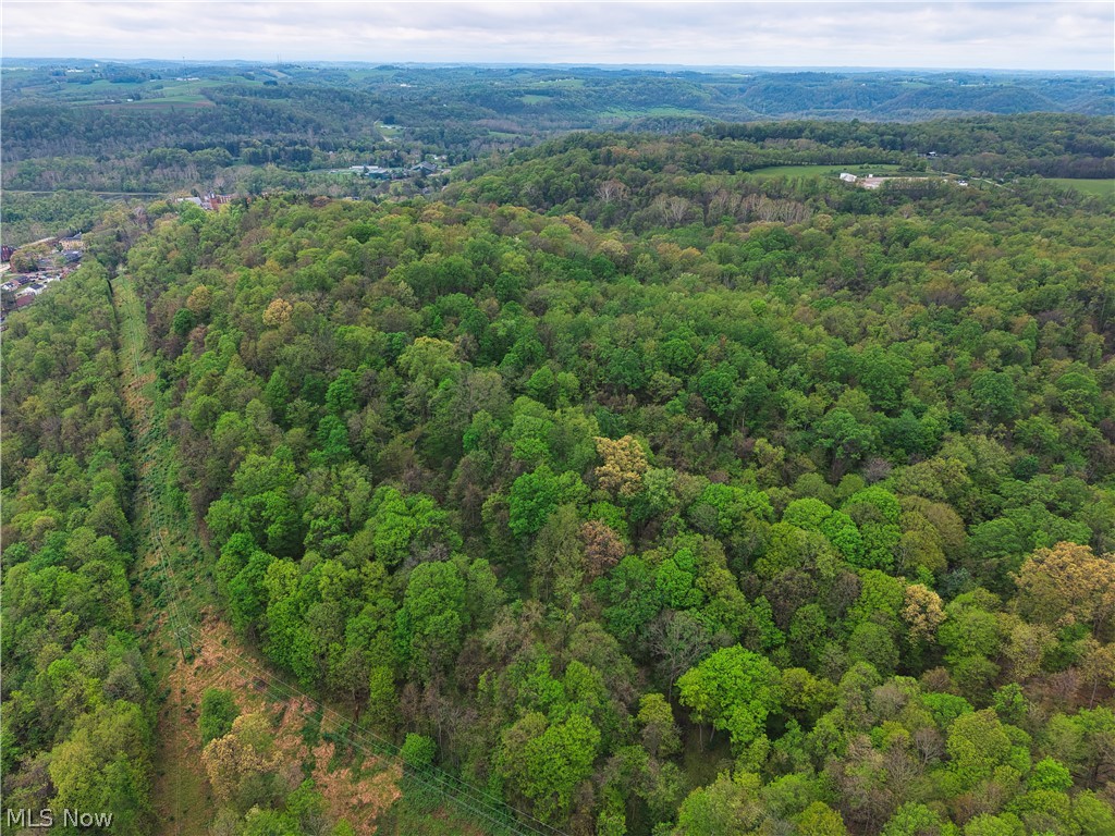 0 Bealls Ridge Road Wellsburg WV 26070