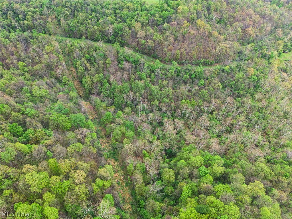 0 Bealls Ridge Road Wellsburg WV 26070