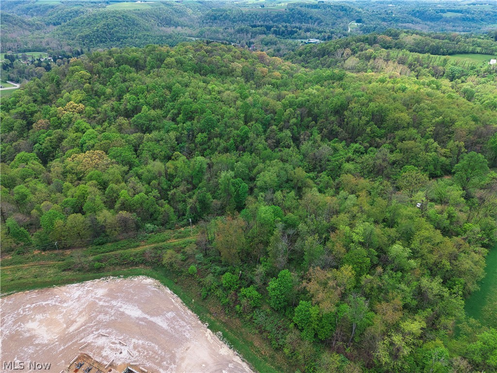 0 Bealls Ridge Road Wellsburg WV 26070