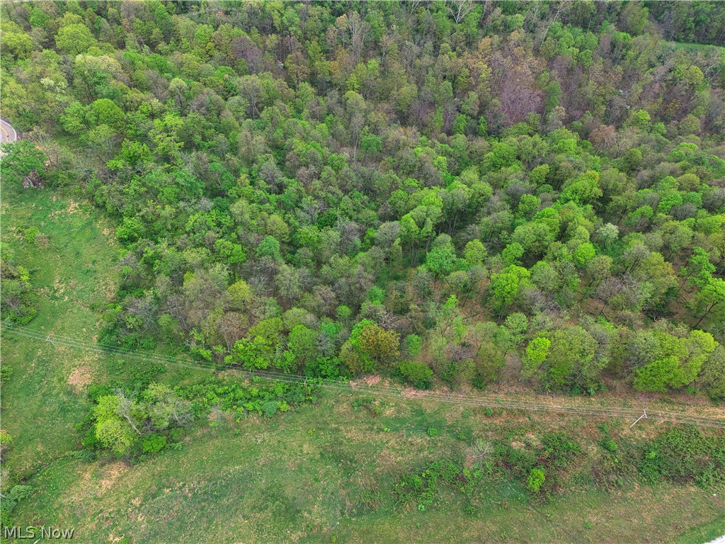 0 Bealls Ridge Road Wellsburg WV 26070