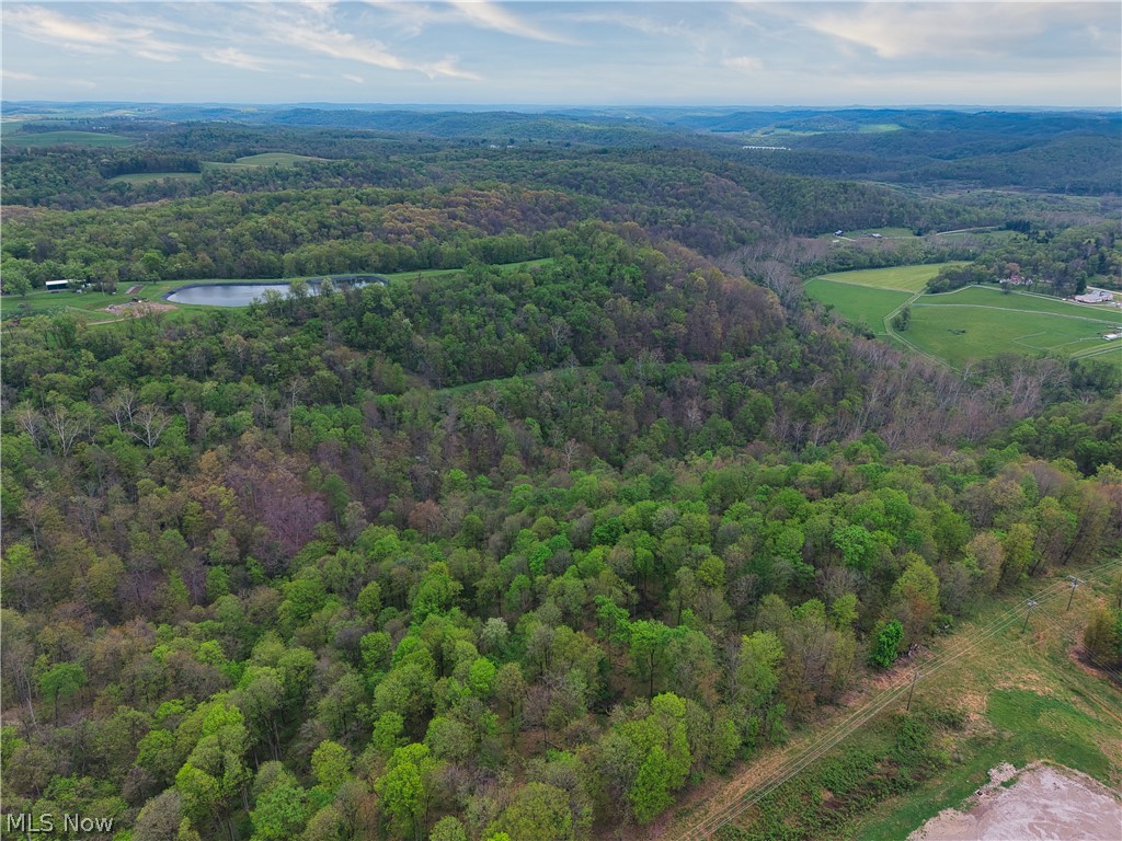 0 Bealls Ridge Road Wellsburg WV 26070