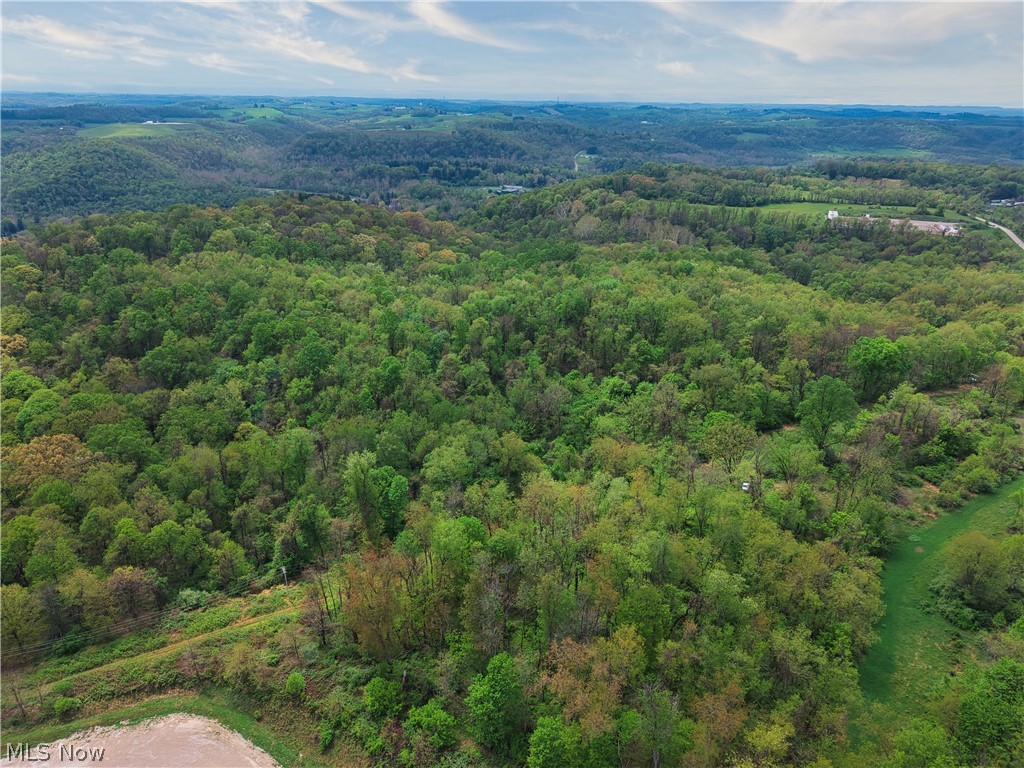 0 Bealls Ridge Road Wellsburg WV 26070