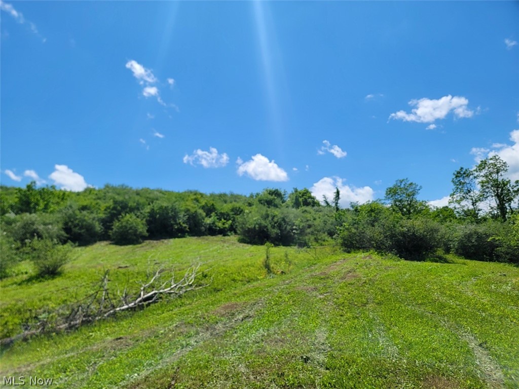 V/l Shephard Bethesda OH 43719