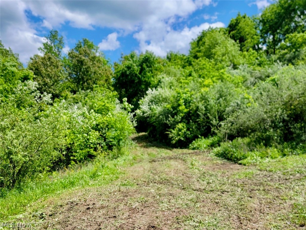 V/l Shephard Bethesda OH 43719