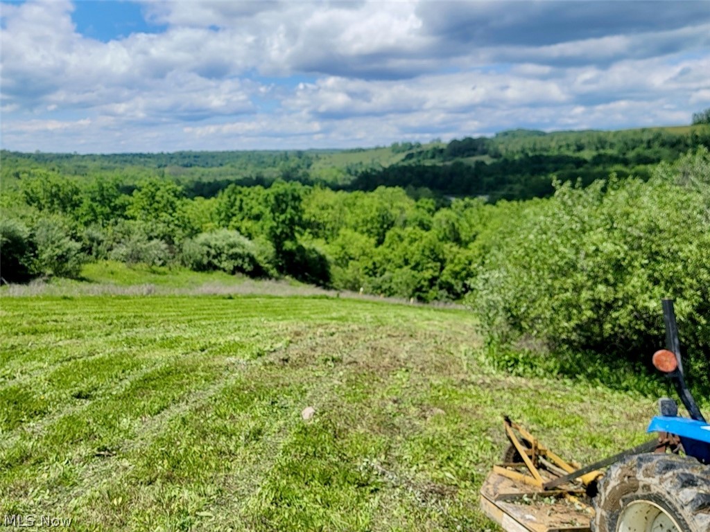 V/l Shephard Bethesda OH 43719