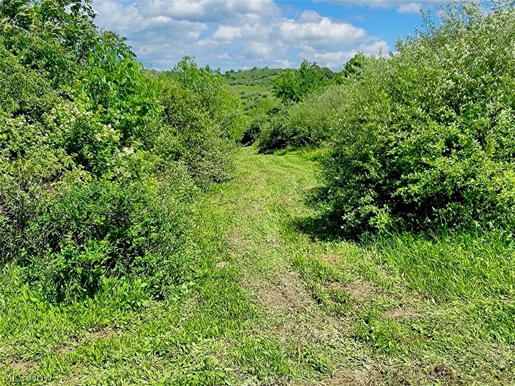 V/l Shephard Bethesda OH 43719