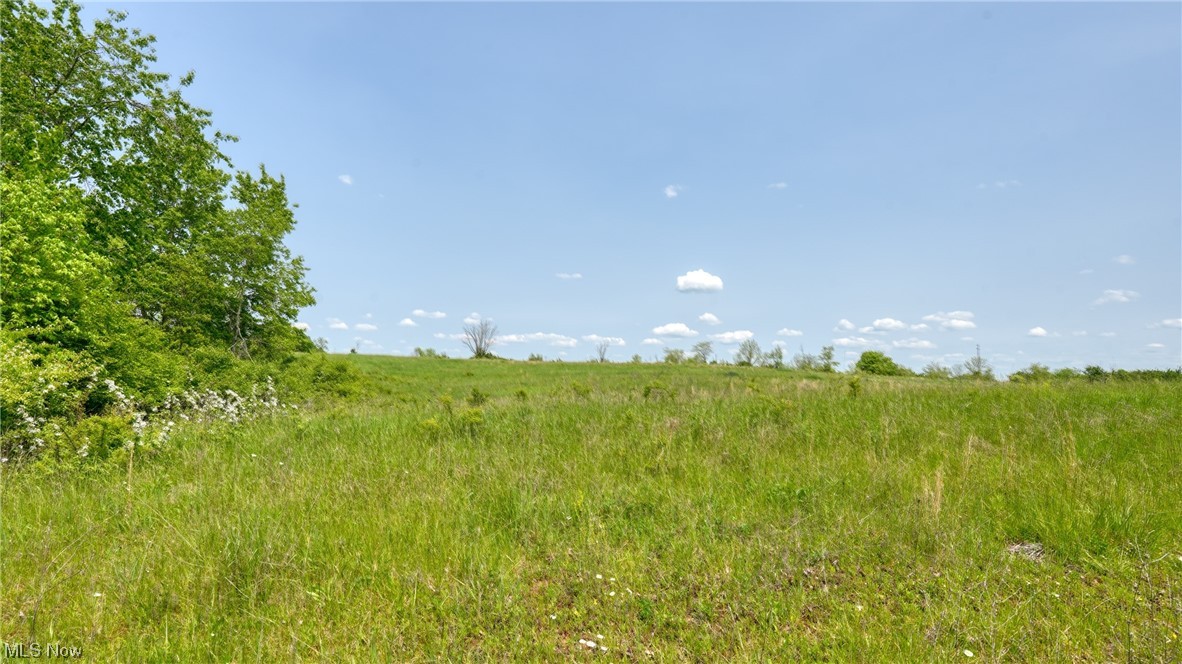 63700 Wintergreen Road Lore City OH 43755