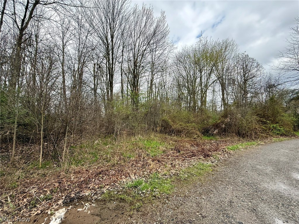 0 Mary Jane Drive Girard OH 44420