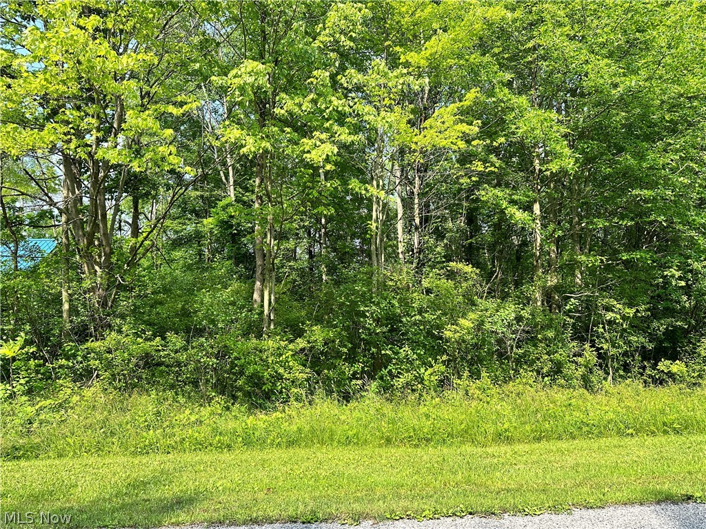 640 Oriole Drive Roaming Shores OH 44084