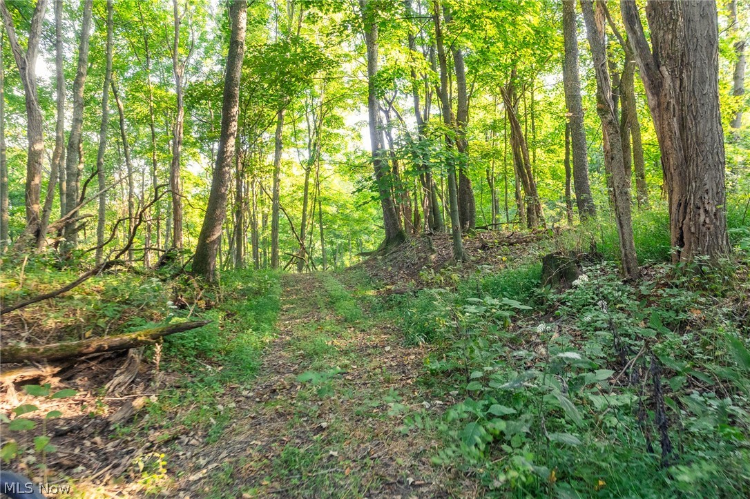 10772 Lawndell Road SW Navarre OH 44608