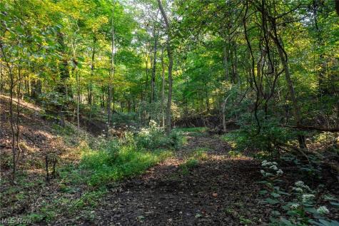 10772 Lawndell Road SW Navarre OH 44608