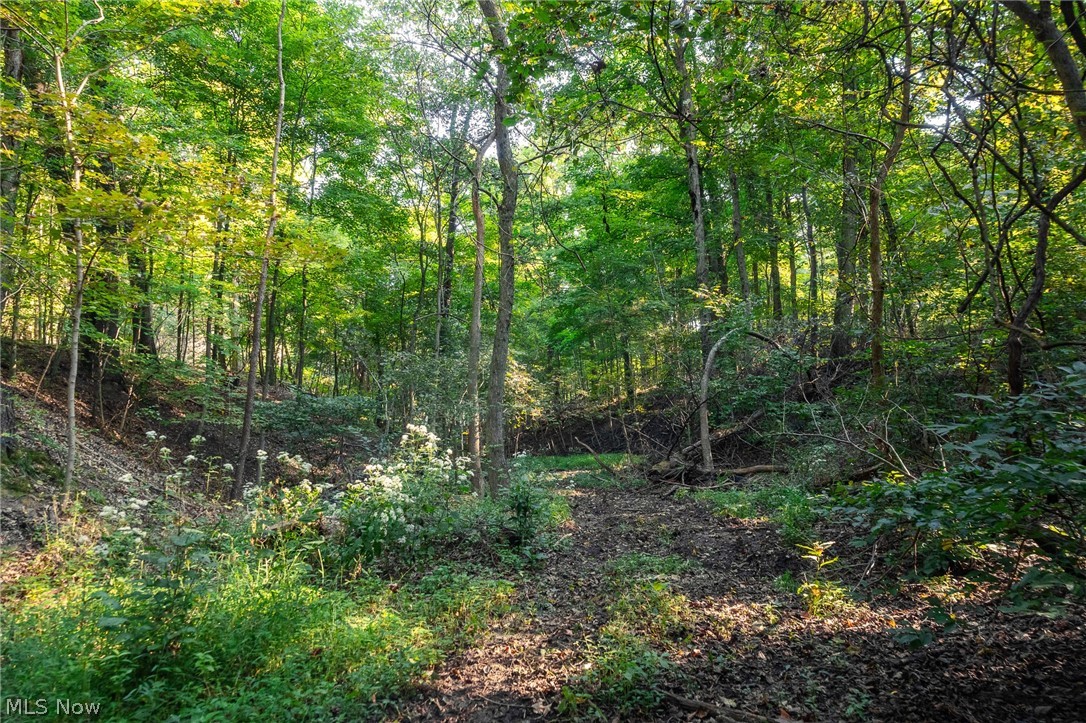 10772 Lawndell Road SW Navarre OH 44608