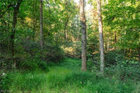 10772 Lawndell Road SW Navarre OH 44608