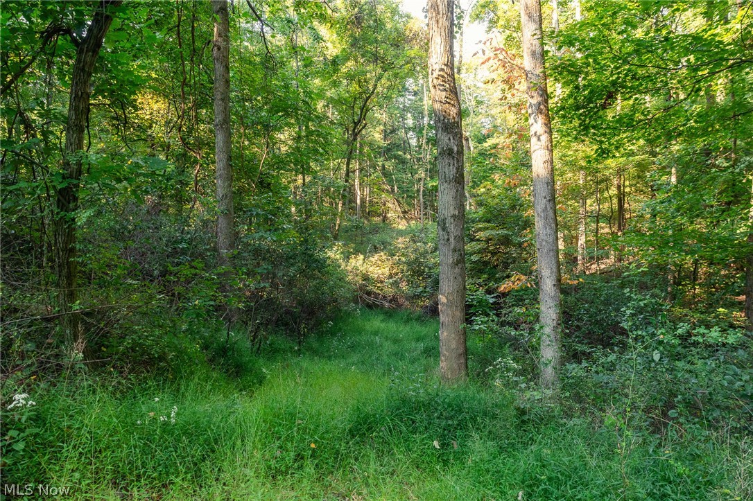 10772 Lawndell Road SW Navarre OH 44608