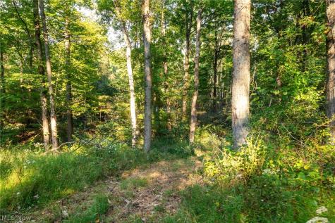 10772 Lawndell Road SW Navarre OH 44608