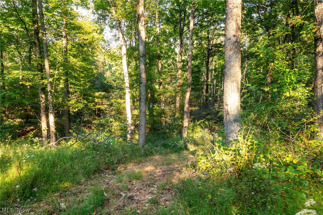10772 Lawndell Road SW Navarre OH 44608