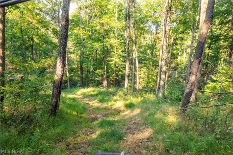 10772 Lawndell Road SW Navarre OH 44608