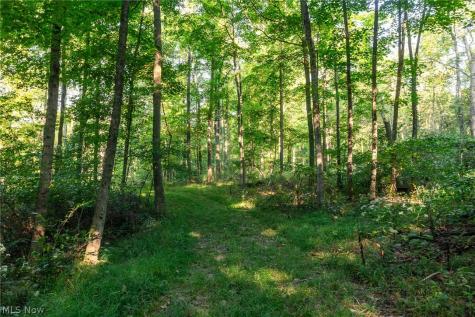 10772 Lawndell Road SW Navarre OH 44608