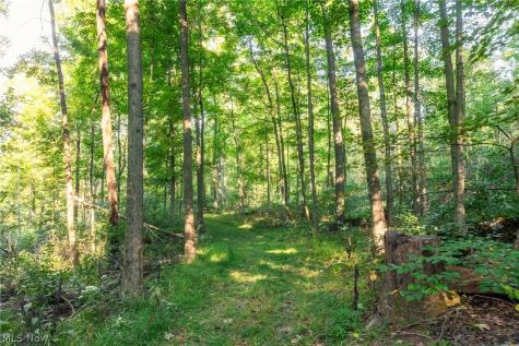 10772 Lawndell Road SW Navarre OH 44608