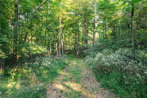 10772 Lawndell Road SW Navarre OH 44608