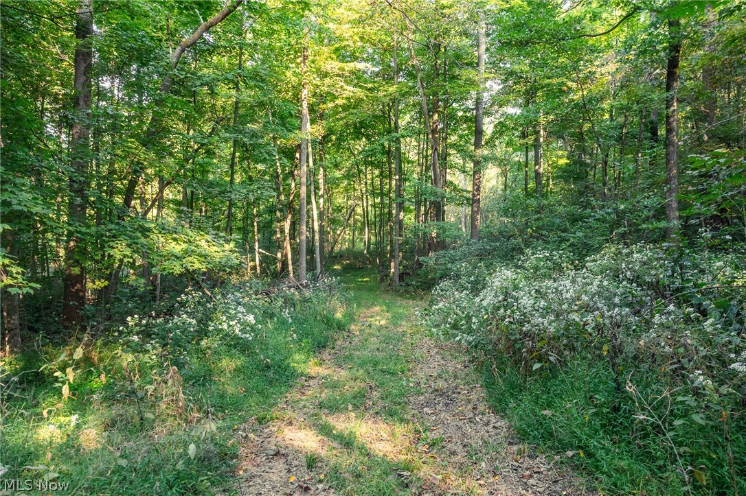 10772 Lawndell Road SW Navarre OH 44608
