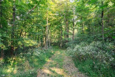 10772 Lawndell Road SW Navarre OH 44608