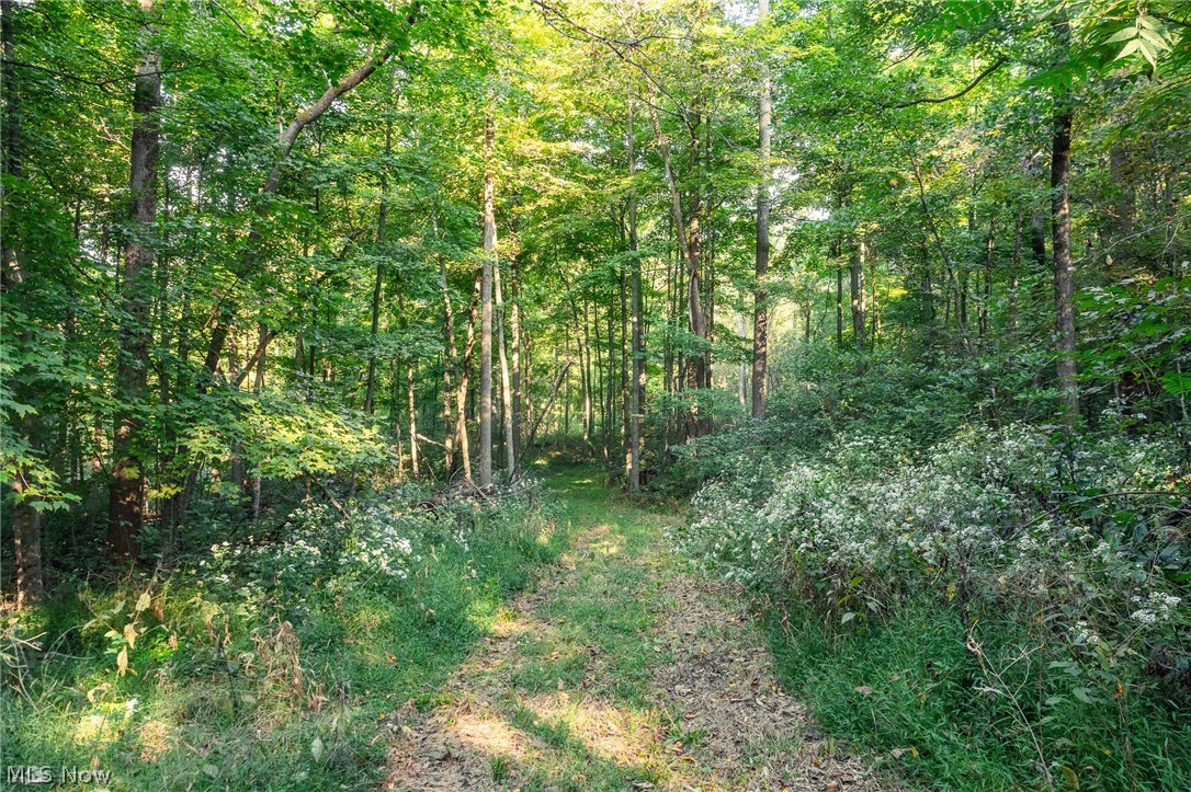10772 Lawndell Road SW Navarre OH 44608