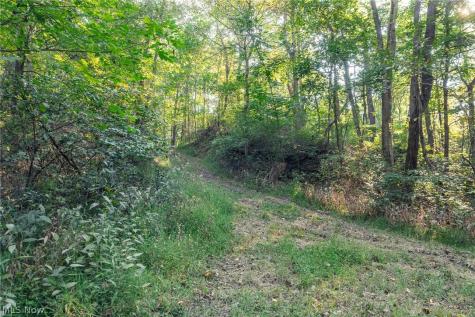 10772 Lawndell Road SW Navarre OH 44608