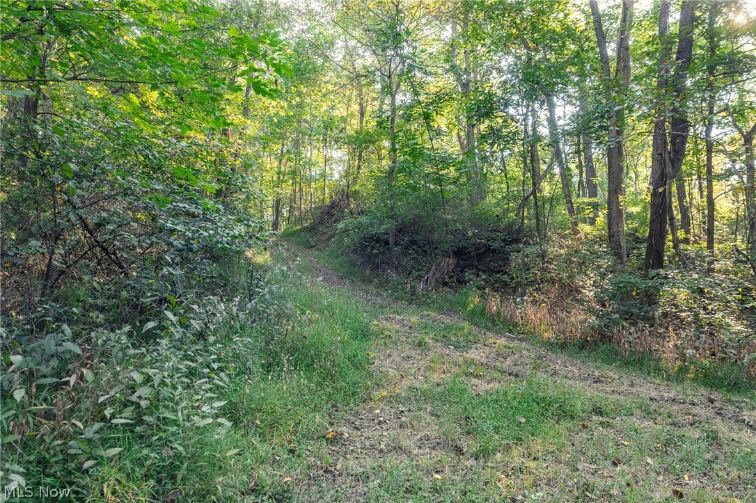 10772 Lawndell Road SW Navarre OH 44608
