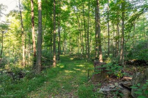 10772 Lawndell Road SW Navarre OH 44608