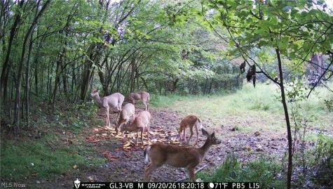 10772 Lawndell Road SW Navarre OH 44608