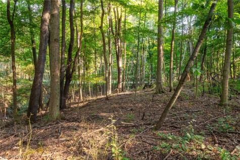 10772 Lawndell Road SW Navarre OH 44608