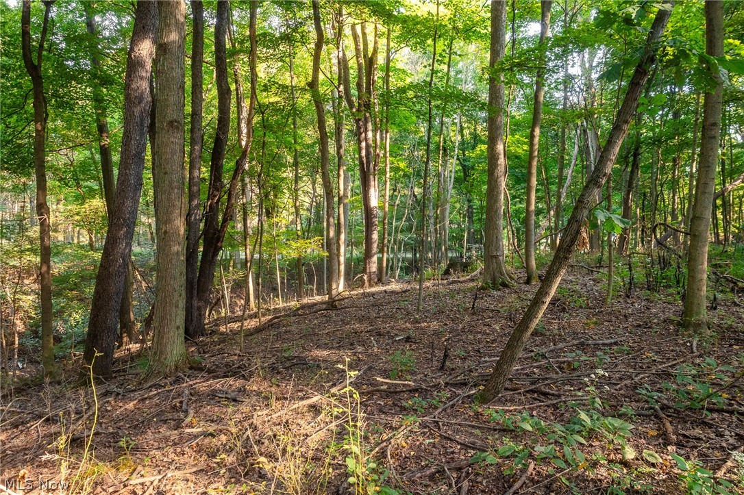 10772 Lawndell Road SW Navarre OH 44608