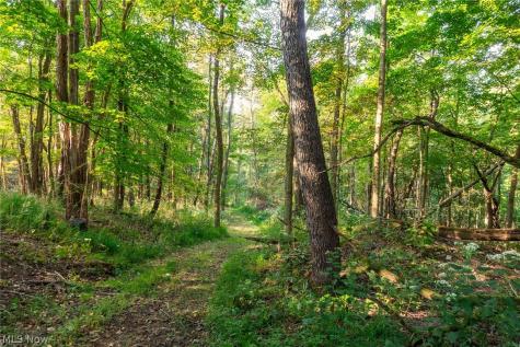 10772 Lawndell Road SW Navarre OH 44608