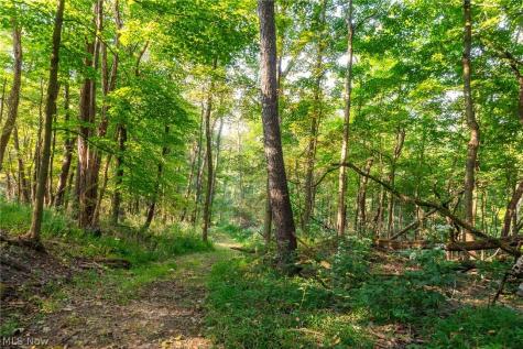 10772 Lawndell Road SW Navarre OH 44608