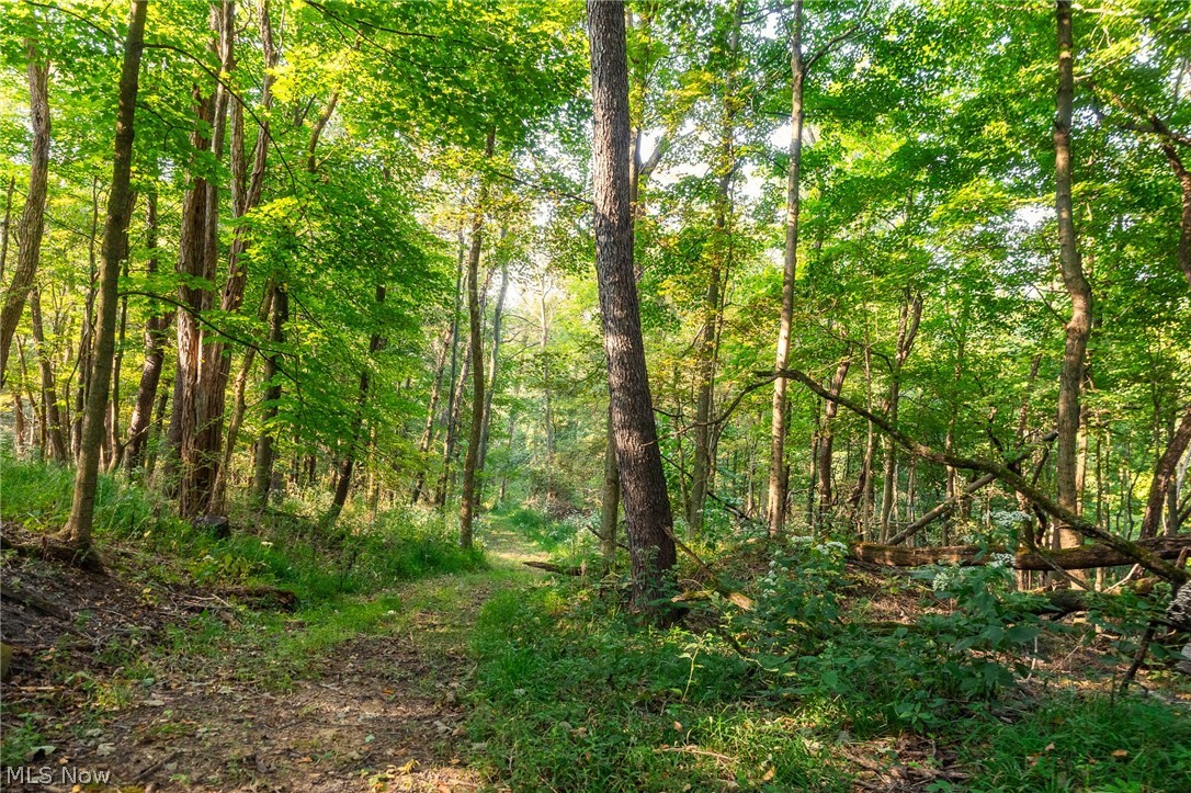 10772 Lawndell Road SW Navarre OH 44608