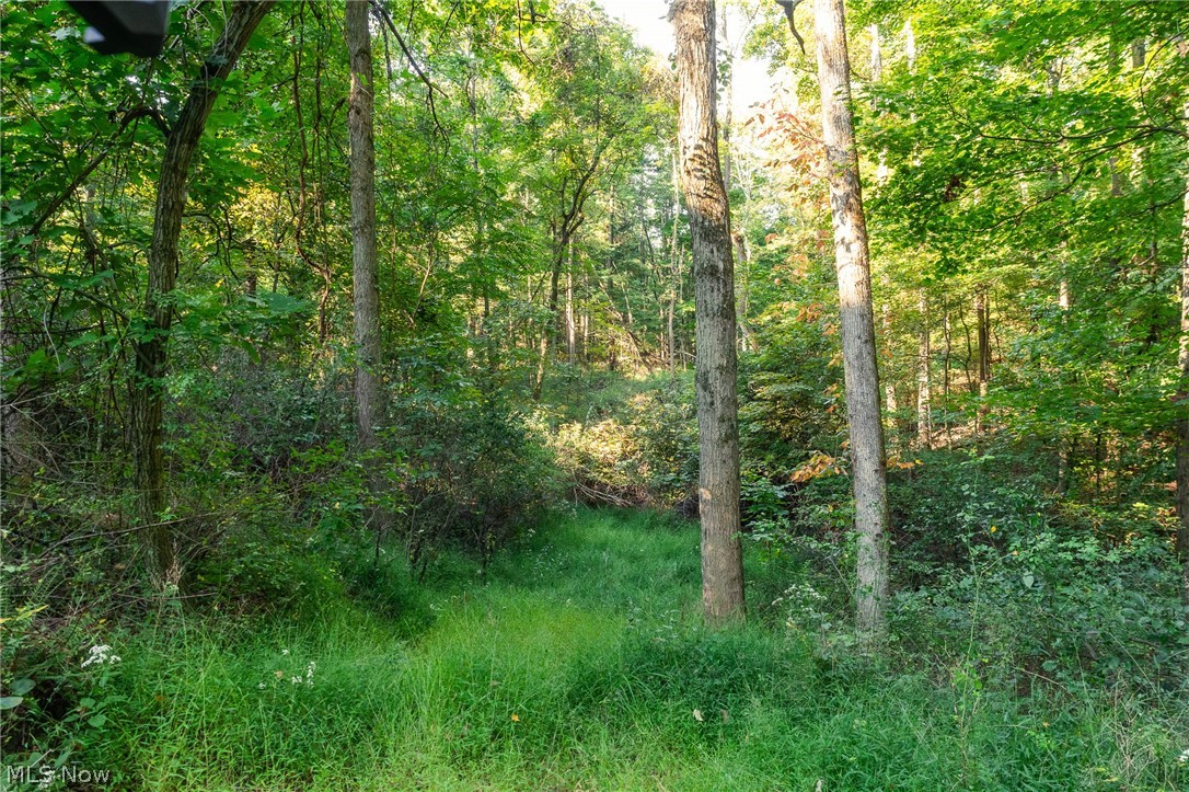10772 Lawndell Road SW Navarre OH 44608