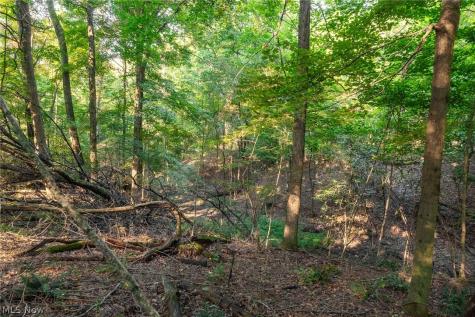 10772 Lawndell Road SW Navarre OH 44608