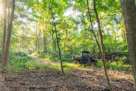 10772 Lawndell Road SW Navarre OH 44608