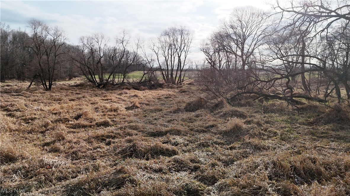 Jones Road Wellington OH 44090