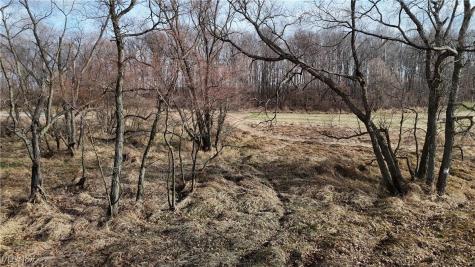 Jones Road Wellington OH 44090